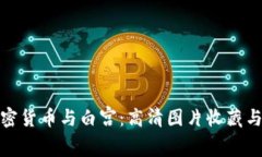: 加密货币与白宫：高清图