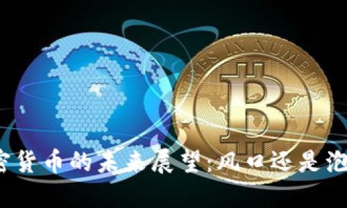 加密货币的未来展望：风口还是泡沫？